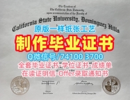 留学回国文凭办理！出售加州州立大学多明格斯希尔斯分校电子版毕业证书美国CSUDH硕士学历证书 Master Degree