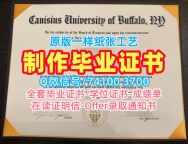 留学毕业证认证！原版复制卡尼休斯大学学士学位证书美国Canisius硕士文凭 Offer