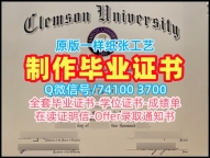 美国电子版毕业证书加急办理/克莱姆森大学毕业证书案例学位证书实拍图怎么购买Clemson文凭等级 Clemson University Offer letter