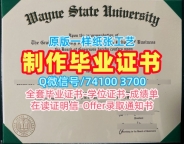美国硕士文凭哪里购买|韦恩州立大学毕业证书复印件哪里购买|WSU成绩单电子版挂科