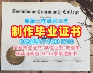 加拿大文凭证书设计仿制|阿希尼伯因社区学院本科毕业证原版复制|ACC转学成绩单做