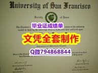 国内在哪里办理《USF学位证书2025版】伪造研究生毕业证成绩单