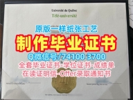 出售魁北克大学三河分校学士学位证书|UQTR成绩单哪里卖Université du Québec à Trois-Rivières Offer letter