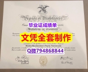 任意版《Georgetown学位证书硕士offer】造假研究生毕业证成绩单