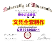 留信认证有什么用《UMN学位证书购买】办理硕士学位证书