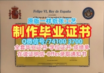 西班牙成绩单原版定做/萨拉戈萨大学毕业证书案例本科学位在线制作UniZAR硕士学历证书 Universidad de Zaragoza Offer