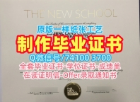 美国毕业完成信哪里卖/帕森斯设计学院毕业证书案例转学成绩单学校原版Parsons本科学历 Parsons School of Design Offer letter