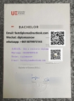 University of Europe for Applied Sciences degree