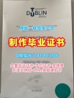 爱尔兰电子版成绩单加急制作/都柏林理工大学毕业证书范本学位证书样板原版定制DIT本科文凭 Technical University Dublin Transcript