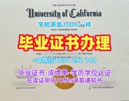 如何避免办理英国Brighton本科毕业证布莱顿大学本科文凭证书的误区?University of Brighton Offer