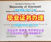 波恩大学毕业证书PDF电子版unibonn研究生学位证书制作的五大理由Universität Bonn Bachelor Diploma