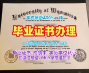 定做奇切斯特大学毕业证书电子版Chichester文凭证书的五个必备材料University of Chichester Office Transcript