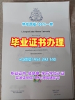 定做阿姆斯特丹大学毕业证成绩单UvA学历认证报告的成功案例Universiteit van Amsterdam Offer letter