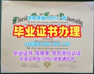 东南密苏里州立大学毕业证书电子版SEMO本科学历复刻技巧揭秘Southeast Missouri State University Offer