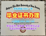 办理加拿大UWO本科毕业证书韦仕敦大学硕士学历证书的详细指南Western University Bachloer Degree