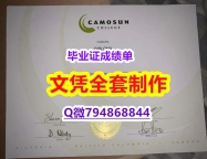 退学补办毕业证《Camosun学位证书样板】造假成绩单