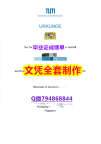造假学士毕业证《黑工业TUM大学学位证书本科证书】办美国文凭认证