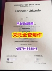 本科学位证书《萨尔大学学位证书顺丰空运 】伪造本科假学历