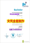 伪造研究生学位证书《马格德堡-施滕达尔学院学位证书2023版】伪造学士假学历