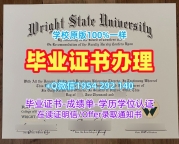 办理佩鲁贾大学毕业证书扫描件unipg学历认证报告的流程是什么？Università degli studi di Perugia Diploma