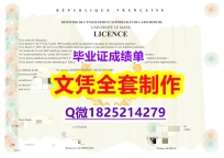【留学德国】【du Mans文凭证书offer录取通知书】美国高校文凭购买