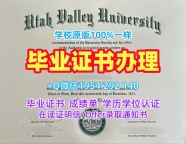 如何选择合适的美国StThomas毕业证认证明尼苏达圣托马斯大学研究生文凭证书复刻服务？University of St. Thomas (Minnesota) Bachelor Diploma