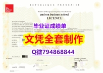 复刻原版《EMLYON学位证书无风险】双硕士学历怎么办理
