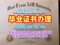 成功办理加拿大McMaster毕业证电子图麦克马斯特大学文凭证书设计的四个技巧McMaster University Transcript