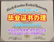 罗切斯特理工学院毕业证电子图RIT学历认证报告真的值得买吗？Rochester Institute of Technology Academic Transcript