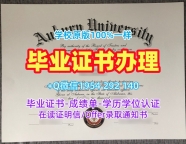 揭秘曼海姆大学毕业证成绩单UMA正式成绩单的获取方式Universität Mannheim Degree Certificate