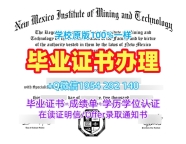 美国SEMO毕业证书电子版东南密苏里州立大学硕士学历证书高仿需要注意什么?Southeast Missouri State University Degree