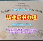 揭秘美国UNR毕业证电子图内华达大学雷诺分校硕士文凭的获取方式University of Nevada, Reno Offer