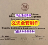 造假《MIT斯隆管理学院学位证书全套伪造】购买研究生毕业证成绩单