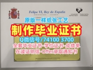 西班牙毕业证书哪里办理/巴斯克大学毕业证书复印件成绩单修改哪里买UPV学历学位证书 Universidad del País Vasco Master Degree