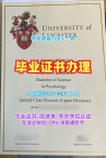 新加坡SUTD毕业证书电子版科技设计大学本科文凭证书办理的常见问题University of Technology and Design Degree Certificate