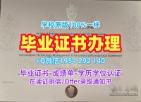 慕尼黑大学毕业证成绩单LMU成绩单电子版办理的费用是多少？Universität München Graduate Certificate