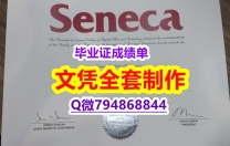 环境科学专业《Seneca学位证书精仿】有本科却要求硕士又怎么办？