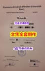 快速拿到《University of Bonn学位证书认证】补办硕士假学历