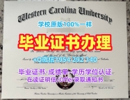 纽约州立大学水牛城分校本科毕业证书UB文凭证书英文复刻全攻略University at Buffalo (SUNY Buffalo) Offer letter