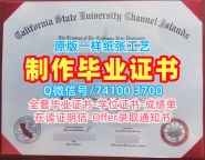 美国硕士学历证书1比1复刻|加州州立大学海峡群岛分校毕业证电子图快速制作|CSUCIPDF版成绩单制作