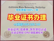 如何制作东北大学毕业证书扫描件NEU学位证书实拍图Northeastern University Offer
