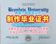 国外学历办理！办理布兰代斯大学文凭学历认证美国Brandeis文凭学历证书 Diploma