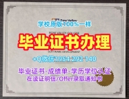 如何复刻匈牙利中欧大学毕业证书电子版CEU本科文凭证书？Central European University Diploma