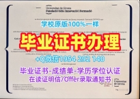 五个常见的美国UA研究生毕业证书亚利桑那大学文凭英文复刻误区University of Arizona Academic Transcript