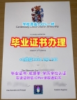 如何避免办理摩斯大学电子版毕业证书Mercer学历认证报告的误区?Molloy University Academic Transcript