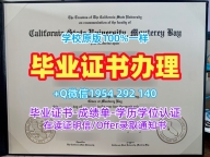如何确保东京工业大学研究生毕业证书TITECH双学位证书申请成功？Tokyo Institute of Technology Academic Transcript