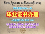 成功办理英国Soton毕业证和学位证南安普顿大学正式成绩单的四个技巧University of Southampton Offer