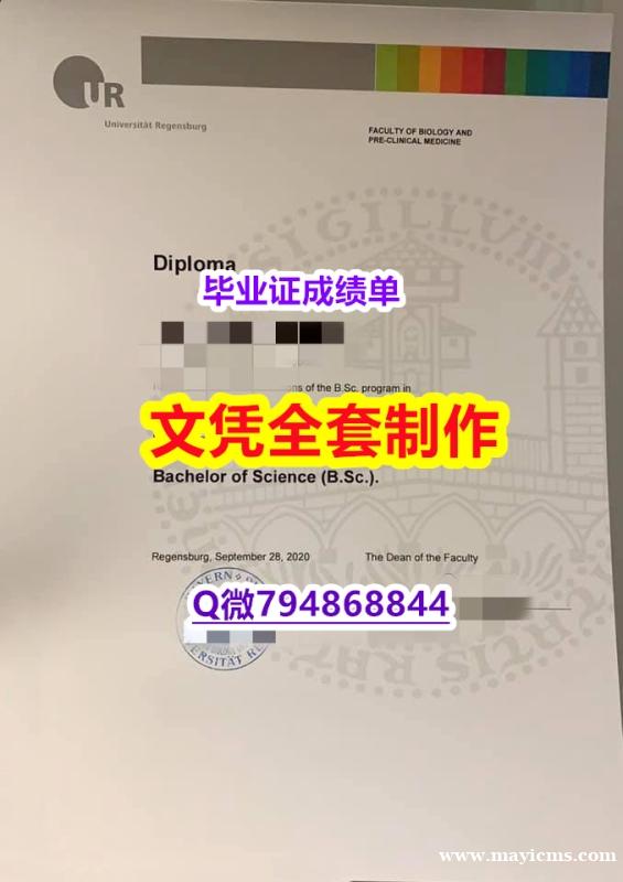 补办本科《雷根斯堡大学学位证书烫金工艺】国外大学有毕业证 补办本科《雷根斯堡大学学位证书烫金工艺】国外大学有毕业证