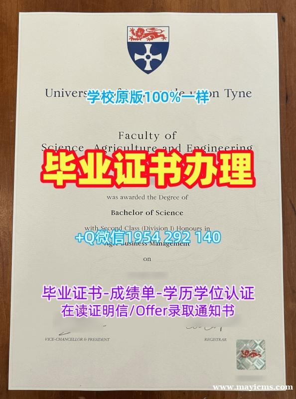 如何辨别乌尔姆大学硕士毕业证书Ulm学历认证报告?Universität Ulm Transcript 如何辨别乌尔姆大学硕士毕业证书Ulm学历认证报告?Universität Ulm Transcript