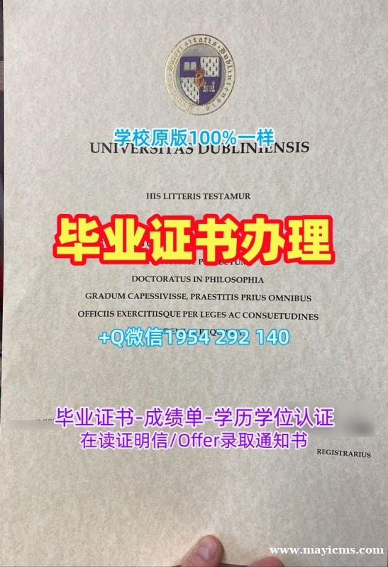 如何复刻都灵理工大学毕业证书Polito学历认证报告的详细指南Politecnico di Torino Master Degree 如何复刻都灵理工大学毕业证书Polito学历认证报告的详细指南Politecnico di Torino Master Degree